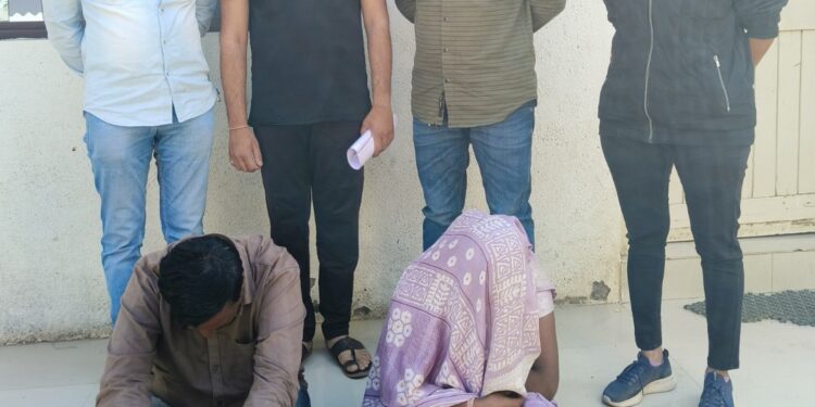 ભરુચ જીલ્લાના ઉમલ્લા તથા રાજપારડી પોલીસ સ્ટેશનમાં છોકરી બતાવી સગાઈ કરી લગ્ન કરી આપવાની લાલચ આપી ફરિયાદી પાસેથી મોટી રકમ મેળવી લગ્ન નહી કરાવી આપી છેતરપિંડી અને વિશ્વાસઘાતનો ગુનો કરી છેલ્લા ચારેક વર્ષથી નાસતા ફરતા મહીલા સહીત કુલ ૦૨ આરોપીઓને ઝડપી પાડતી ભાવનગર લોકલ ક્રાઇમ બ્રાન્ચ