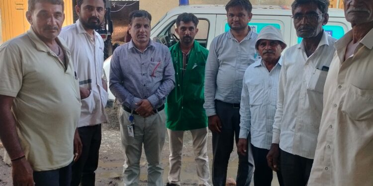 ગારિયાધાર તાલુકાના નવાગામ ખાતે 1962 દ્વારા ગૌમાતાની સફળ સર્જરી દ્વારા કેન્સરની પીડામાંથી મુક્તિ અપાઇ