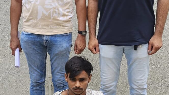 ભરતનગર પોલીસ સ્ટેશનમાં દાખલ થયેલ વાહન ચોરીના ગુન્હામાં પકડવાના બાકી આરોપીને ઝડપી પાડતી ભાવનગર લોકલ ક્રાઇમ બ્રાન્ચ