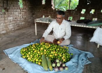 ભાવનગર જિલ્લાના પીંગળી ગામના ખેડૂત શ્રી નારશંગભાઈ મોરી પ્રાકૃતિક ખેતી અપનાવી અન્યો માટે બન્યાં પ્રેરણારૂપ