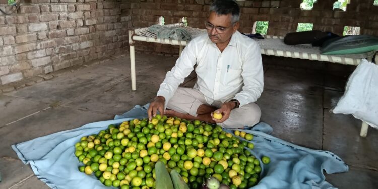 ભાવનગર જિલ્લાના પીંગળી ગામના ખેડૂત શ્રી નારશંગભાઈ મોરી પ્રાકૃતિક ખેતી અપનાવી અન્યો માટે બન્યાં પ્રેરણારૂપ