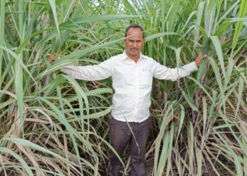 ભાવનગર જિલ્લાનાં તળાજા તાલુકાનાં ટીમાણા ગામનાં ખેડૂતે પ્રાકૃતિક કૃષિ દ્વારા શેરડી ઉગાડી કંડારી નવી કેડી