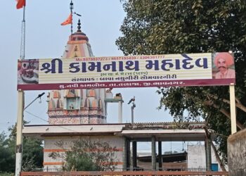 તળાજા તાલુકાના નવી કામળોલ ગામે આવેલ કામનાથ મહાદેવ મંદિરમાં શ્રાવણ માસ નિમિત્તે વિવિધ ધાર્મિક કાર્યકરો નું ભવ્ય આયોજન કરવામાં આવ્યું છે